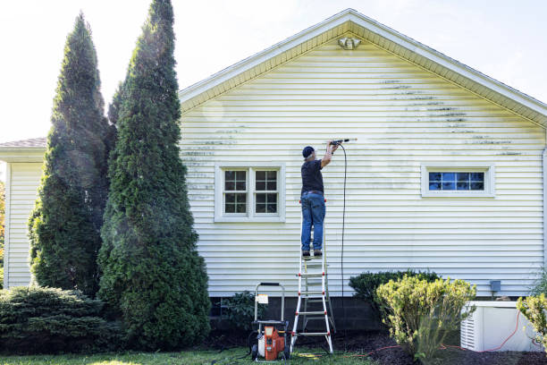 Best Dumpster Area Cleaning  in Howard Lake, MN